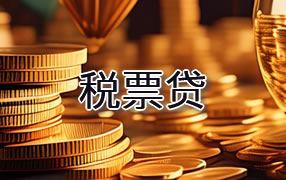 惠州税票贷